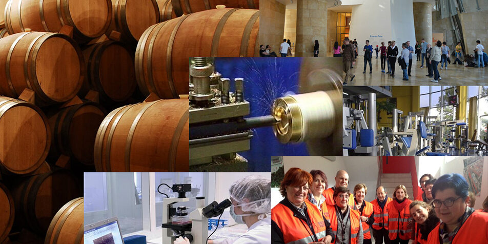 empresa visita a empresas, empresarias, empresa, directivas, directiva, actividad empresarial, encuentro de negocios, conocer empresas