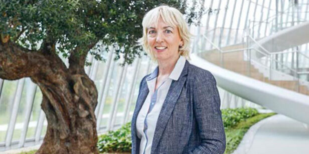 carolina perez de toledo carolina perez de toledo