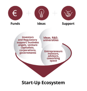 W4STEAM- start up ecosystem